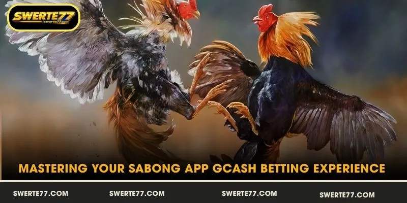 Mastering Your Sabong App GCash Betting Experience