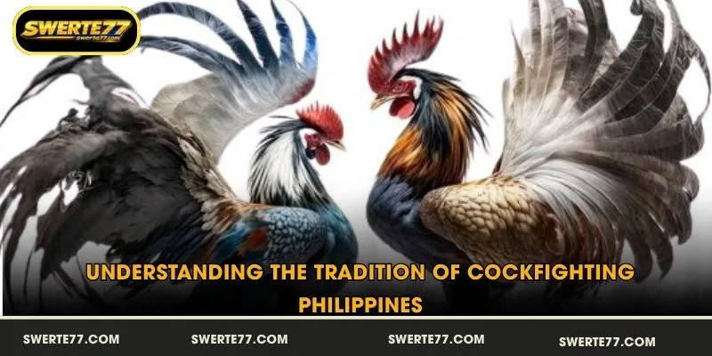 Understanding the Tradition of Cockfighting Philippines